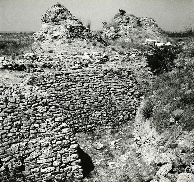 Troja, zdjęcie ruin (fot. Paolo Monti, udostępniono na licencji Creative Commons Attribution-Share Alike 4.0 International)