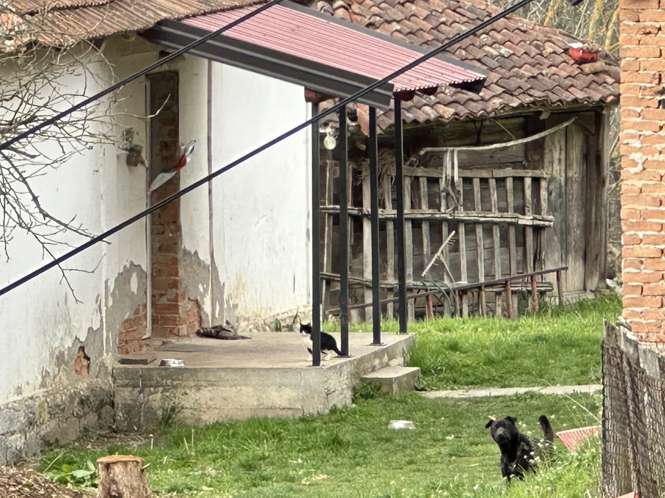 Kuća u kojoj se dogodilo ubistvo