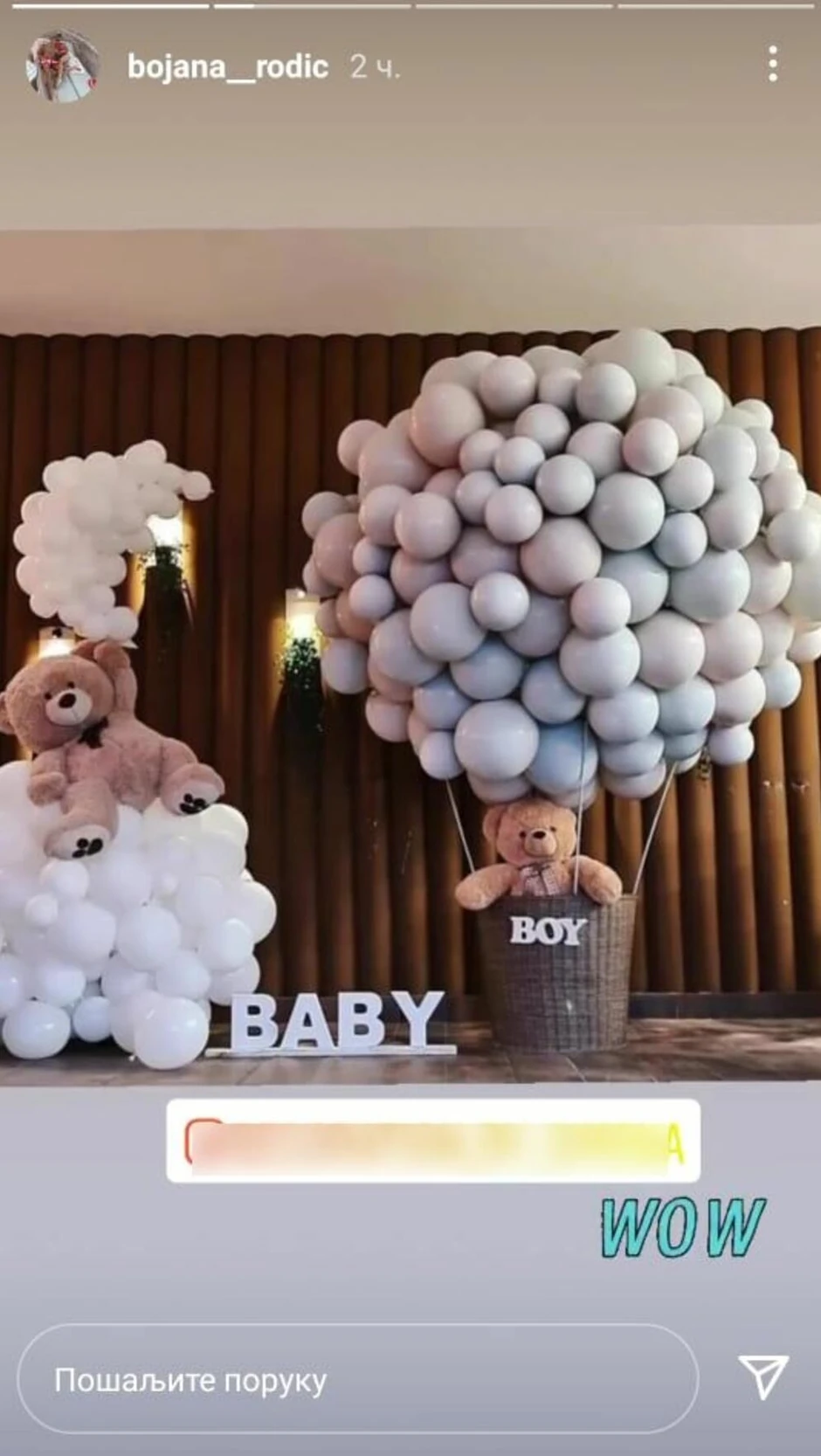 Bojana Rodić i Mirko Šojan