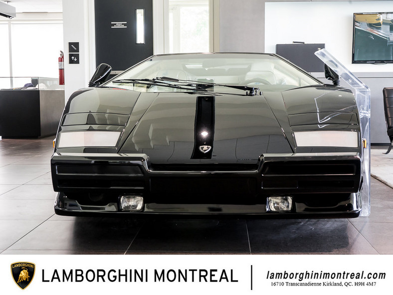 Lamborghini Countach 25th Anniversary