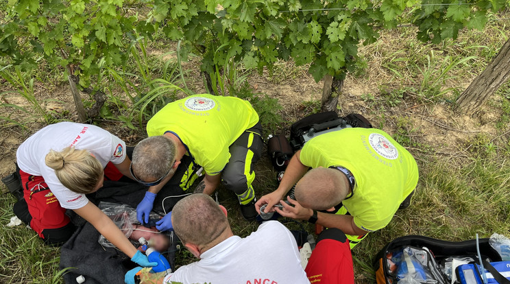 A gyermekmentők a szőlőhegyen találtak rá az egy napja elhagyott újszülöttre/Fotó: police.hu