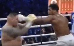 Joshua odzyskał mistrzowskie pasy. Krew na twarzy Ruiza pojawiła się już po pierwszym ciosie [WIDEO]