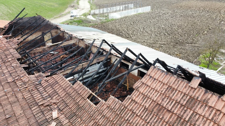 Potresne slike požara