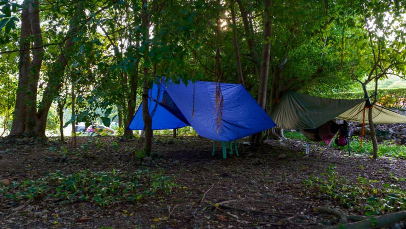 Für Bushcraft und Outdoor: Beliebte Tarps im Vergleich