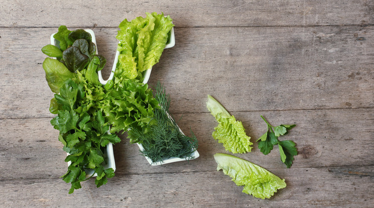 Ezeket érdemes tudni a K-vitaminról / Fotó: Shutterstock
