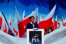 PiS kontra oszuści podatkowi. Partia chce zmniejszyć poziom wyłudzeń