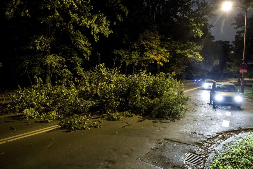 Dwie osoby zginęły, prawie milion bez prądu. Wichury spustoszyły kraj