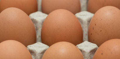 GIS ostrzega przed bakteriami w jajach