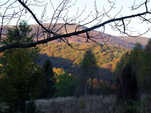 Galeria Polska - Bieszczady, obrazek 19