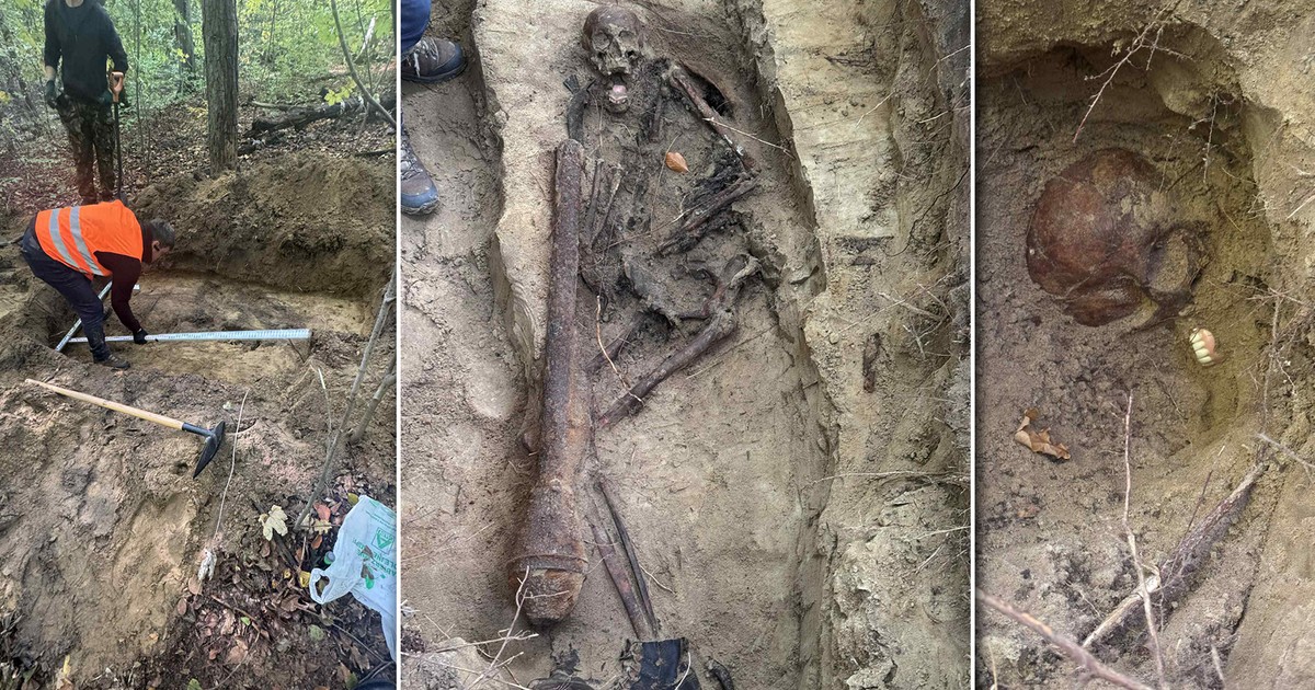 W leśnej ziemi czekał szkielet z tajemnicą. To odkrycie zmroziło poszukiwacza