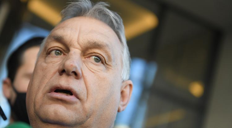 Orbán Viktor kvíz