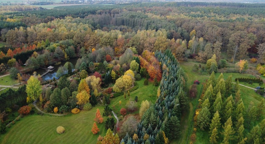 Gmina Dziadowa Kłoda leży w sercu potężnych kompleksów leśnych (Lasy Rychtalskie). 