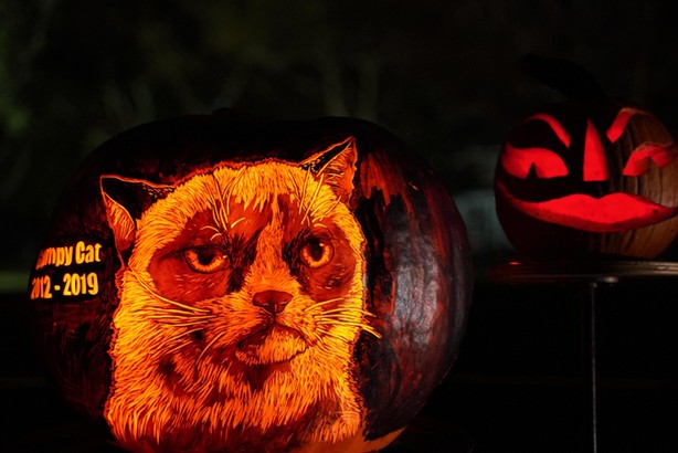 Rise of the Jack O'Lanterns in New York