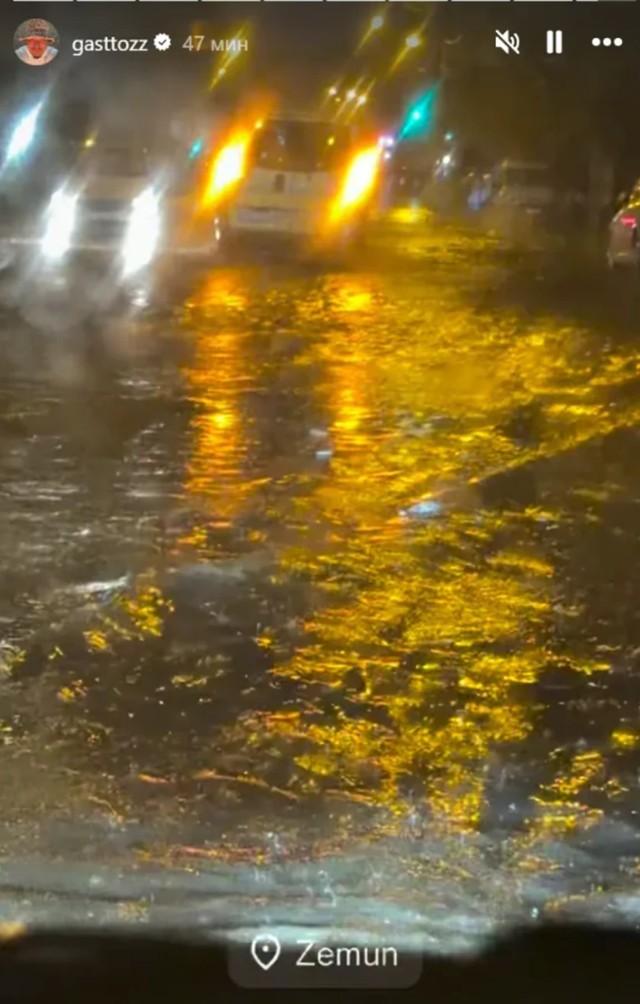 Gastoz zaglavljen u Zemunu