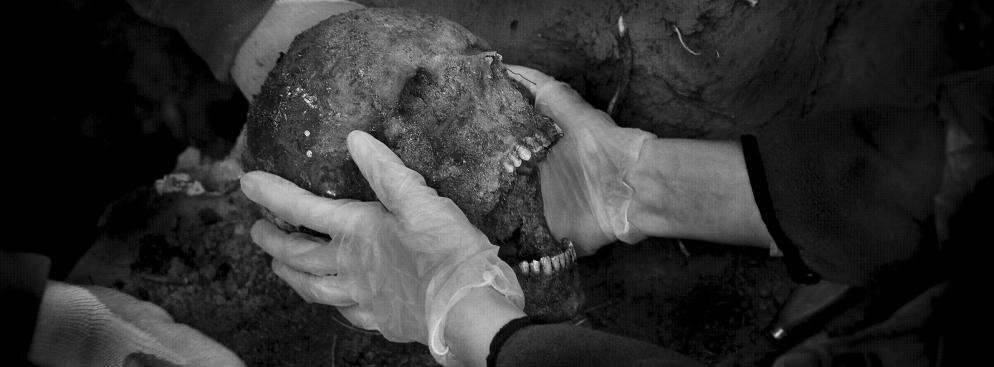 Wrocław. Prace ekshumacyjne prowadzone przez IPN na cmentarzu osobowickim w ramach badań nad ustaleniem tożsamości ofiar stalinizmu. Fotografia Macieja Świerczyńskiego otrzymała Wyróżnienie za zdjęcie pojedyncze w kategorii 