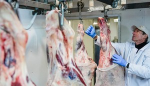 John Jobbagy, whose family has been working in the Meatpacking District for more than 120 years, is one of the last meatpackers left there.AP Photo/Julia Demaree Nikhinson