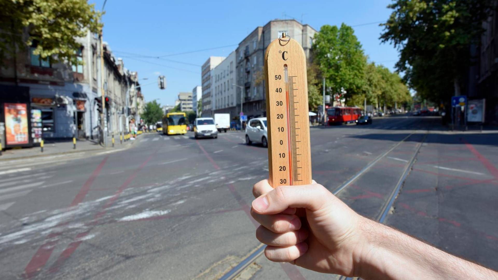 Merili smo temperaturu u ulici sa i bez drveća - razlika je ogromna