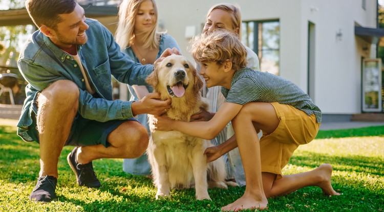 Fotó: Shutterstock 