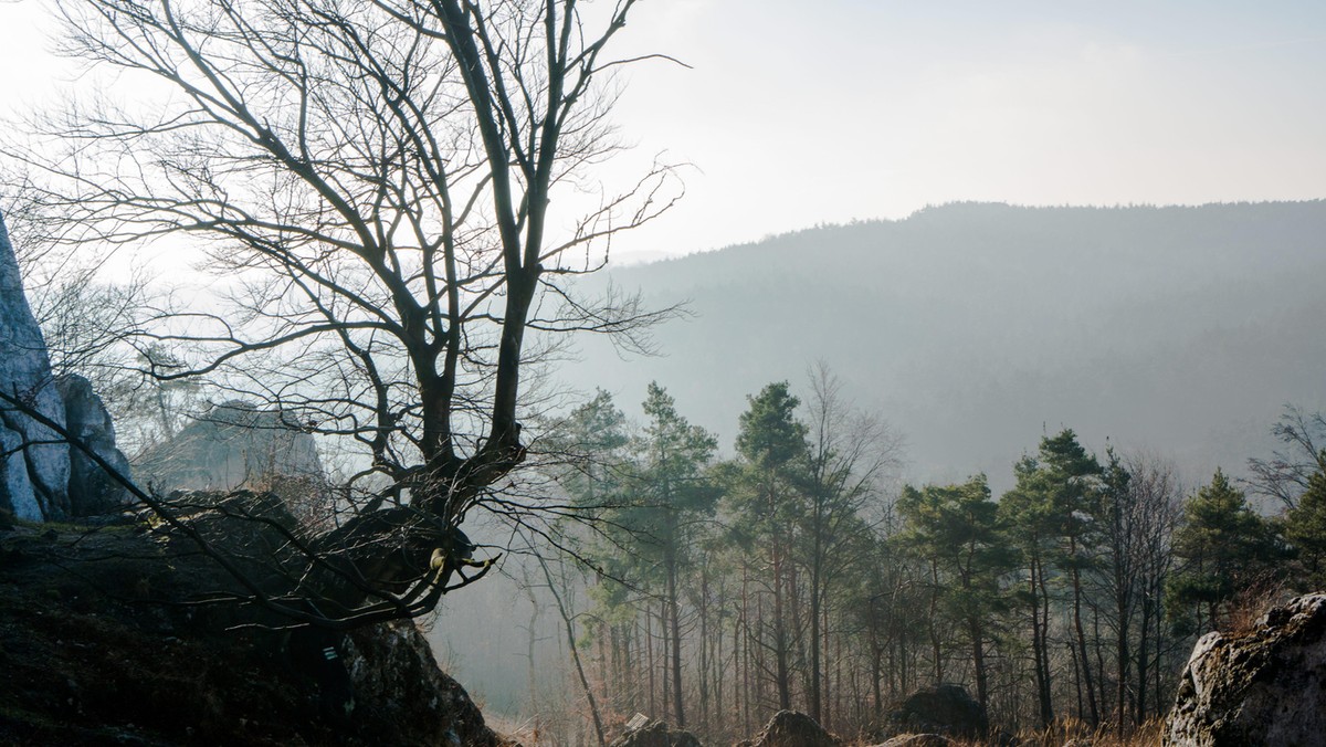 góry krajobraz ładny Jura Krakowsko-Częstochowska