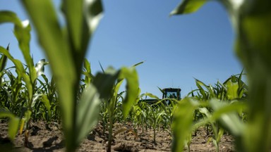 Monsanto i Bayer. Kto dziś rządzi światowym rolnictwem