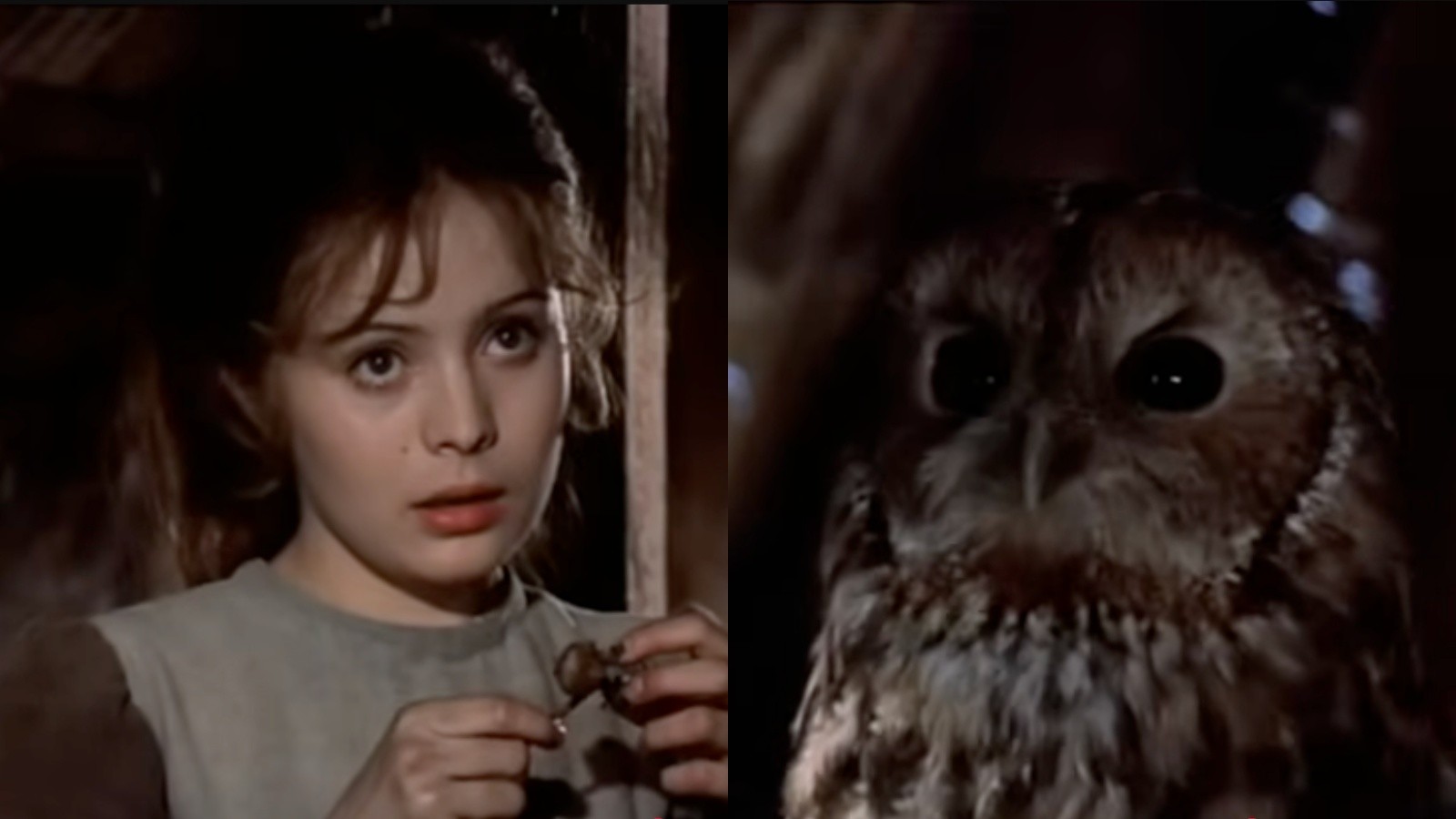 Herečka Libuše Šafránková a slávna sova Rozárka vo vianočnej rozprávke Tri oriešky pre Popolušku.