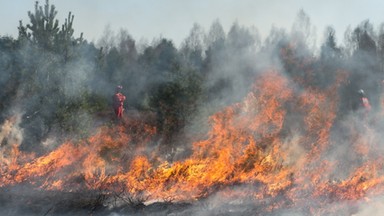 Coraz więcej pożarów traw. Strażacy apelują o ostrożność