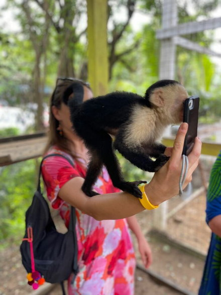 Małpy też kochają selfie.