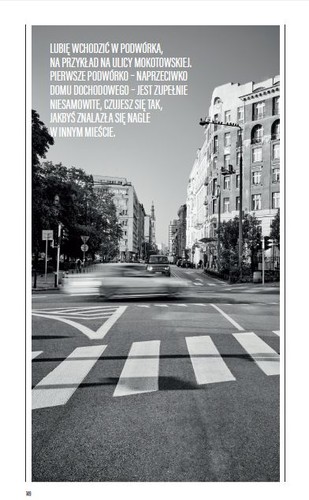 ilustracja z książki The Cosmopolitans Marzeny Mróz-Bajon