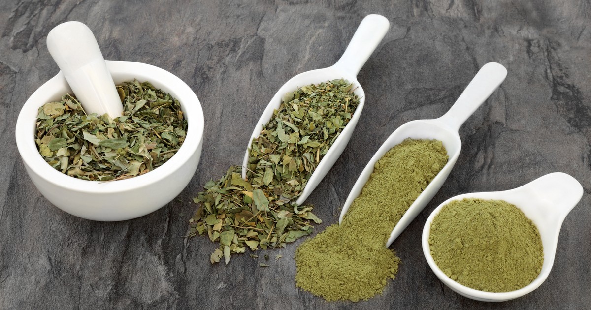 Zioła na reumatyzm jak działają? Czy są skuteczne?