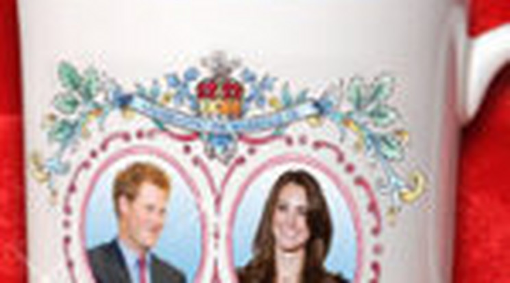 Harry herceg elszerette Kate Middletont?