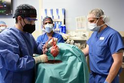 Chirurdzy z University of Maryland pokazują pacjentowi Davidowi Bennettowi serce genetycznie zmodyfikowanej świni, które przeszczepią mu w miejsce chorego narządu, styczeń 2022 r.