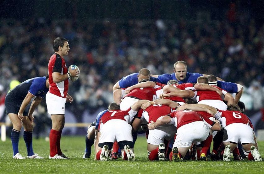 Mistrzostwa Świata w Rugby