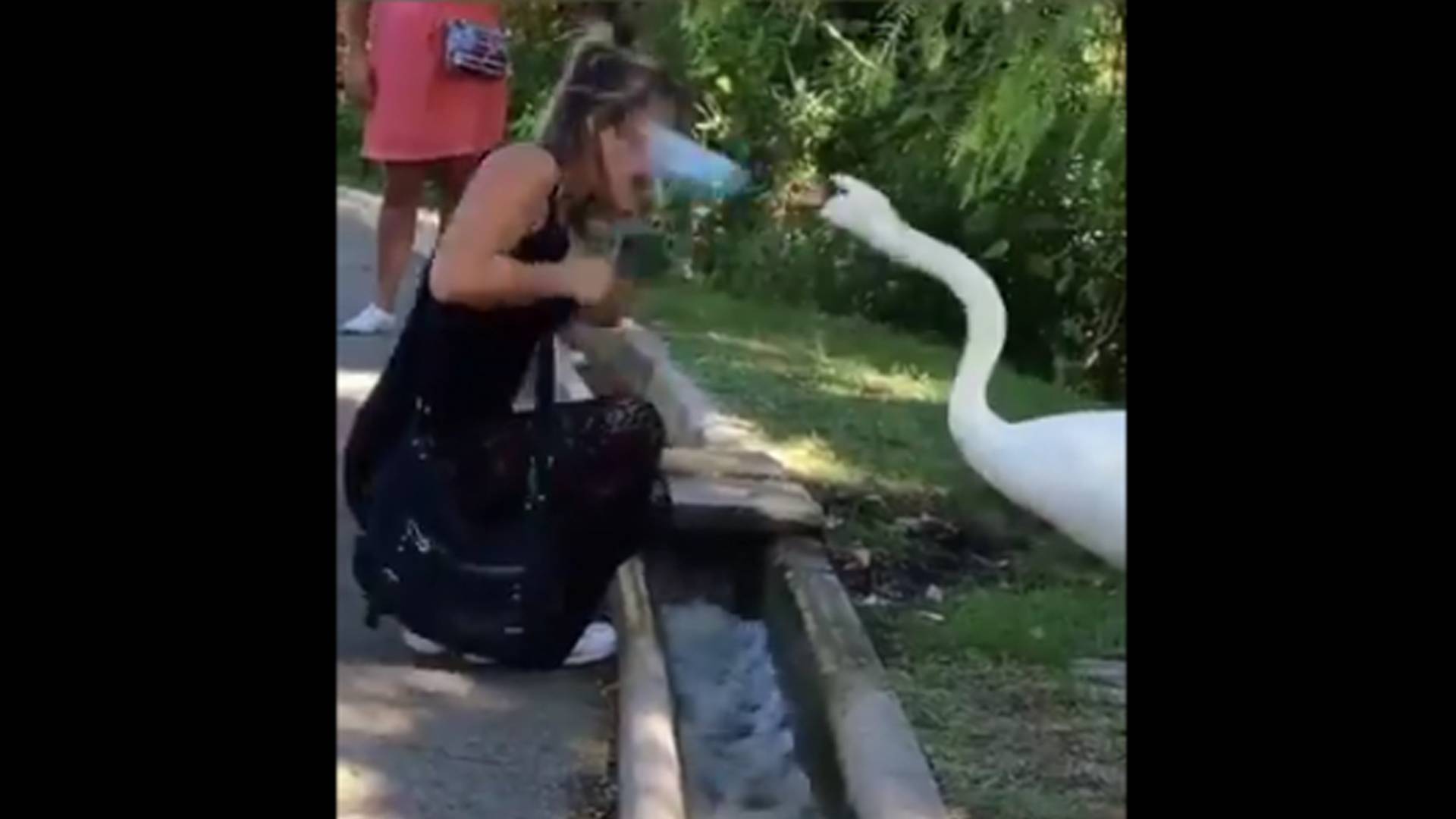 Čak i životinjama ide na živce to što nosite maske na bradi