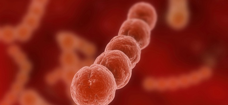 Przez tę bakterię choruje i umiera najwięcej dzieci na świecie