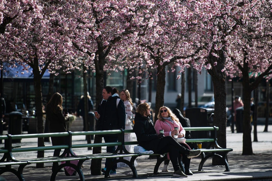 Švedska se odlučila za kontroverzan pristup borbi sa korona virusom - pokušava da izgradi kolektivni odnosno imunitet stada