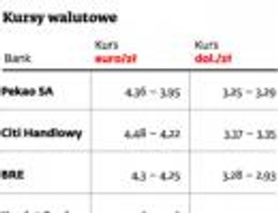 Złoty ma za sobą ciężki rok, ale wciąż ma potencjał