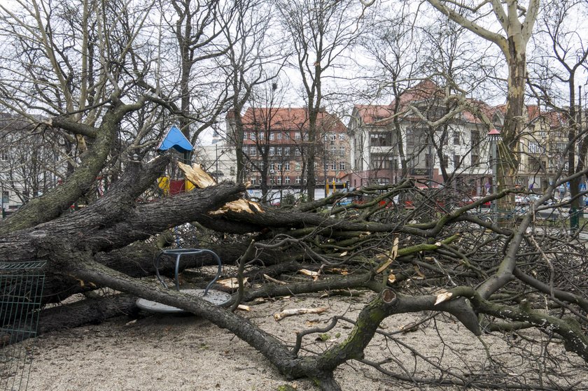 Skutki silnych wichur nad województwem śląskim