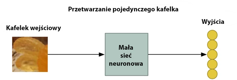 Powtórzmy to 77 razy, po jednym razie na każdy fragment.