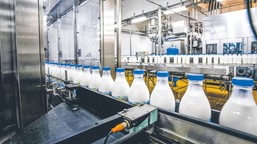 zwolniono wszystkich. upadek legendarnej mleczarni