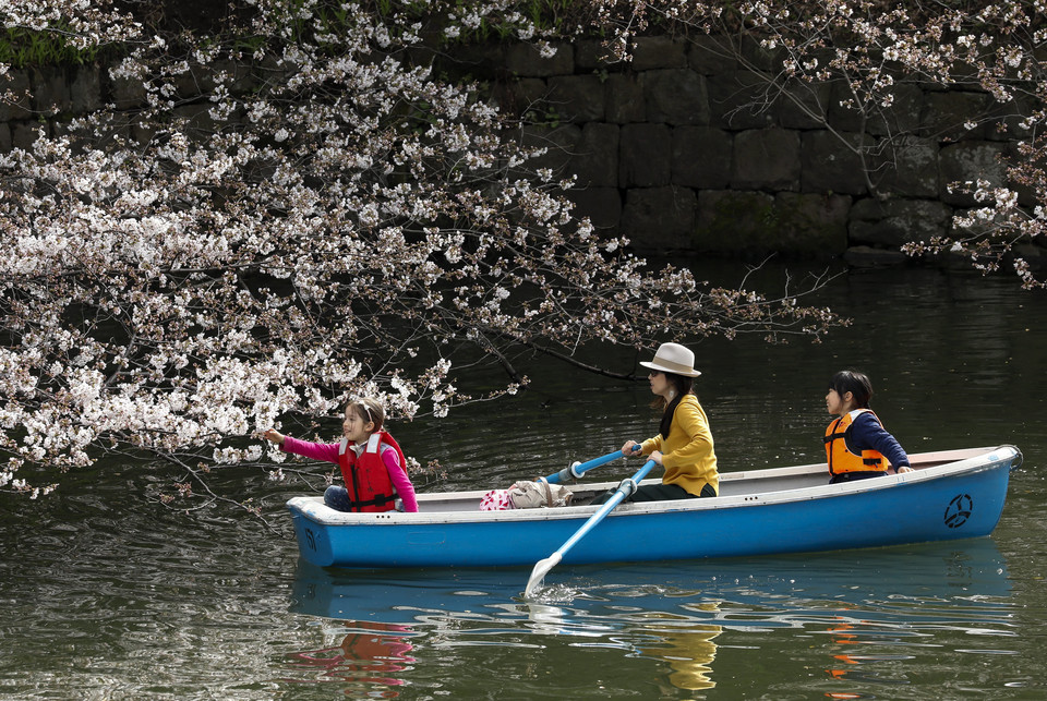 epa06622902 - JAPAN CHERRY BLOSSOMS BLOOM (Cherry blossoms bloom in Tokyo)