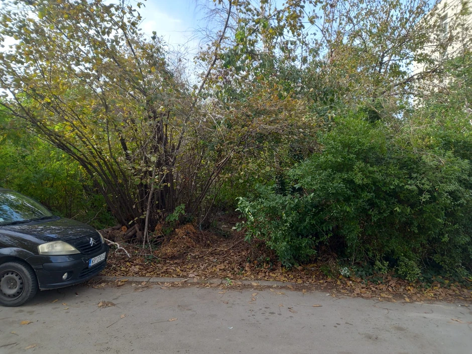 Uviđaj na licu mesta