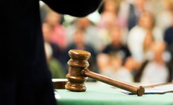 Czaszka tyranozaura wylicytowana. Dom aukcyjny zawiedziony. 'Znacznie poniżej oczekiwań'