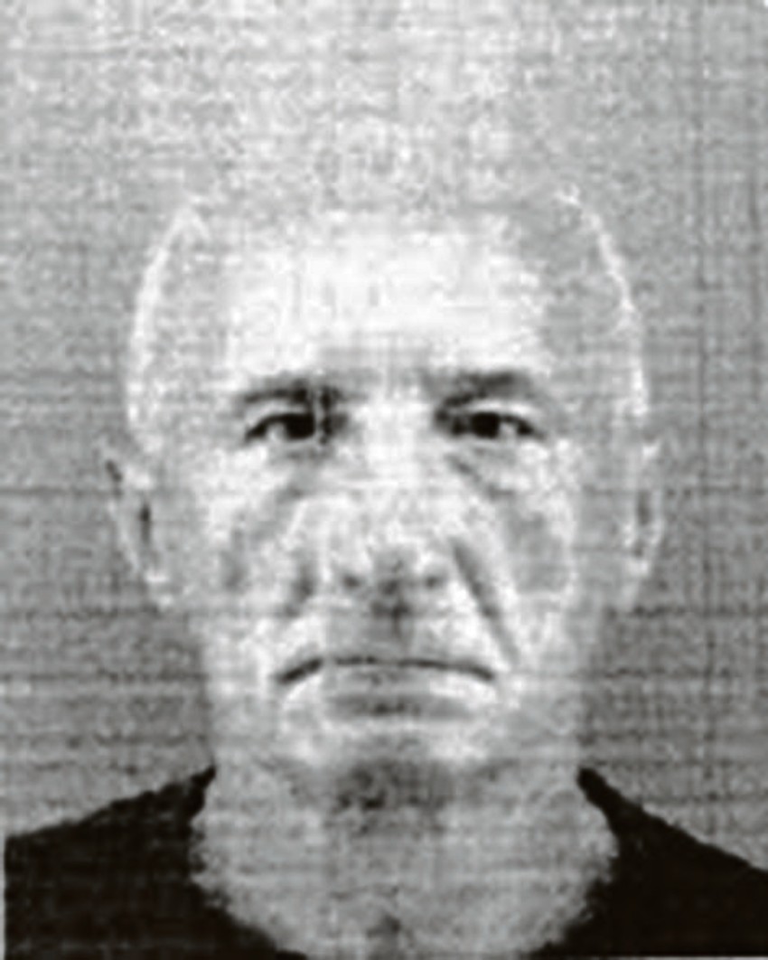 Dejan Stanković Ždrokinac