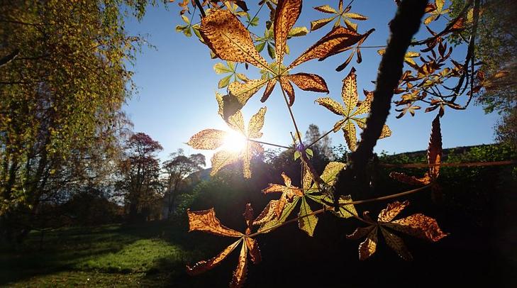 Igazi őszi időt hoz a napéjegyenlőség /Fotó: Pixabay