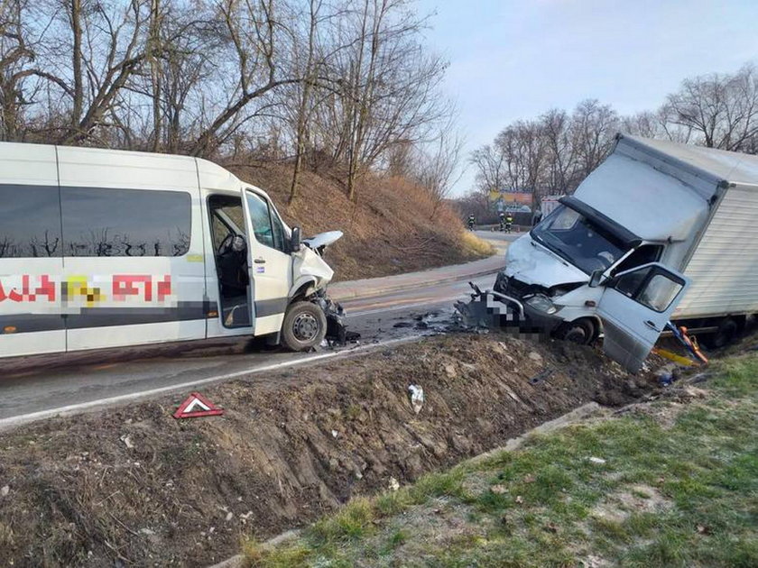 Dębiany. Zderzenie mercedesa dostawczego z kursowym busem