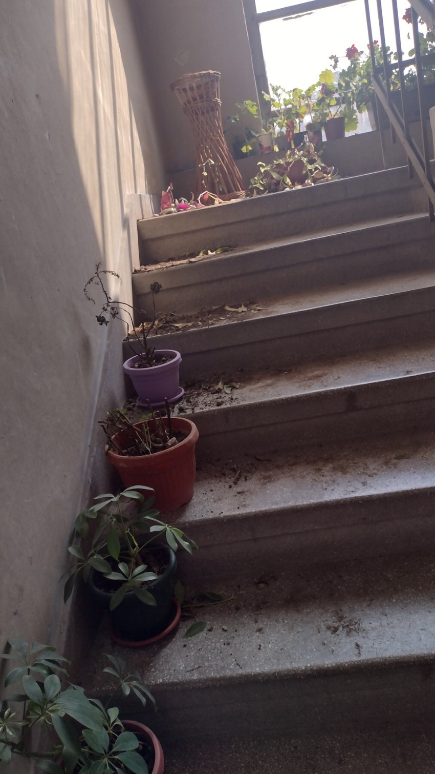 Haos u zgradi svedoči o užasu koji se sinoć odigrao