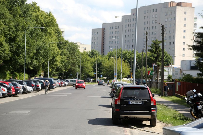 To będą rosły najdroższe drzewa w mieście