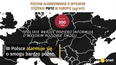 Smog w Polsce. Odstajemy od Europy