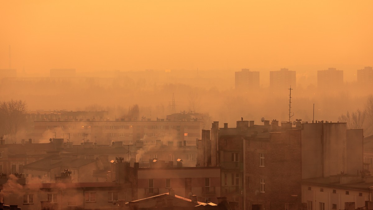 Smog jest problemem, który szczególnie mocno dotyka nas zimą. Polskie miasta należą do niechlubnej światowej czołówki miejsc z najgorszym powietrzem. Wiesz, czego nie wolno palić w kominku albo co to jest PM2,5? Sprawdź swoją wiedzę!