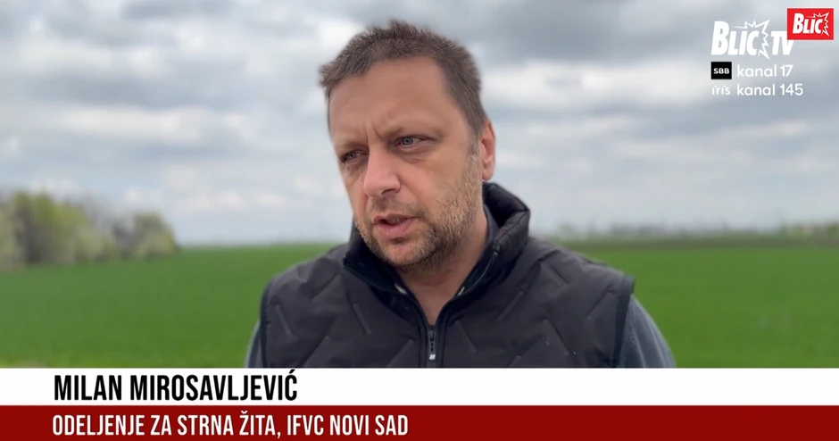 Milan Mirosavljević